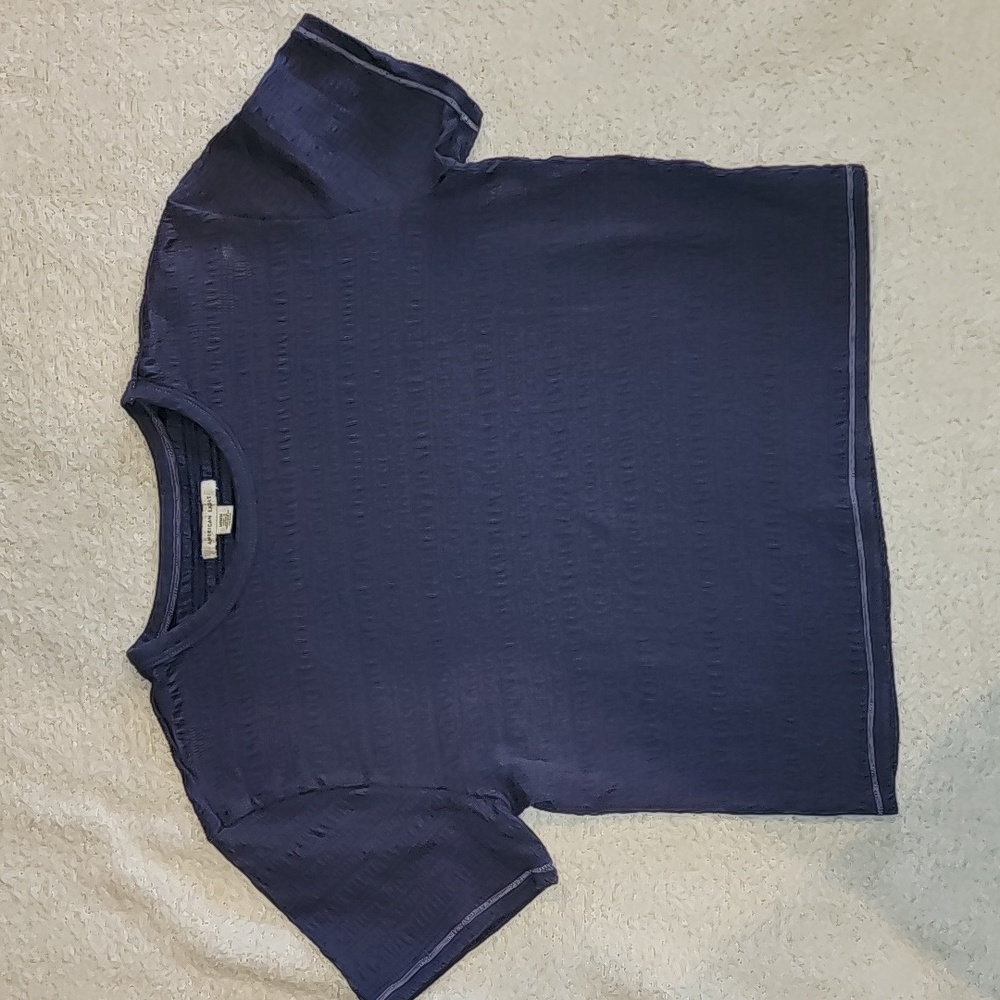 American Eagle blue crop top